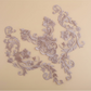 Appliques Brodées – Kit de 3 Pièces | Dentelle & Polyester